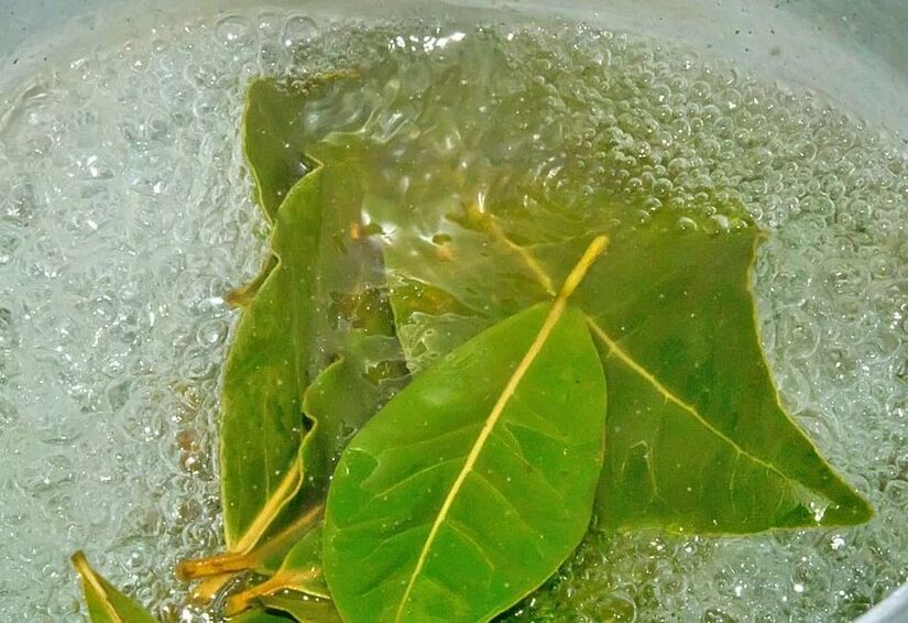 Bay Leaf Soup